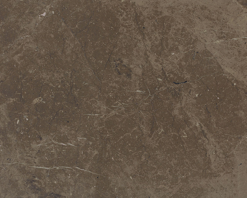 King Brown Marble
